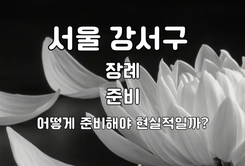 서울 강서구 가족장 직접 준비할까? 상조 이용할까? 현명한선택 비교