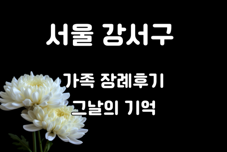 서울 강서구 가족장례 후기 3일간의 준비와 그날의 이야기